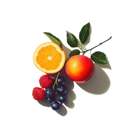 Plant Designs